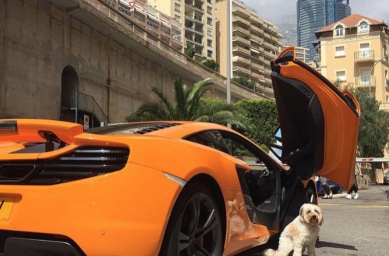 wekiki_traceur's tweet photo. Les #chiens les plus riches sont sur @instagram! A prendre avec le sourire😋 https://t.co/rMdbUExyf4 via @Influenth_ https://t.co/7Uyxh2ta14