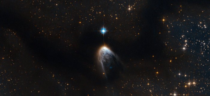 esascience's tweet photo. Born in a golden cloak: a newborn star announcing its presence.Our pic of the week by Hubble https://t.co/vC3KDV4uBj https://t.co/lcoDblLpze