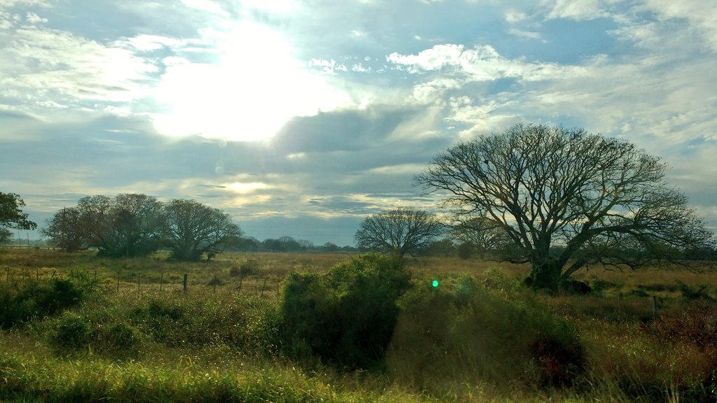 Adentrándome en el monte chaqueño para conocer las comunidades que forman parte del Samsung Nanum Village.