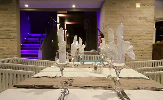 NbPalmbeach's tweet photo. #madeforpeople
#palmbeachresort&spa https://t.co/lbjFpgt6BI
