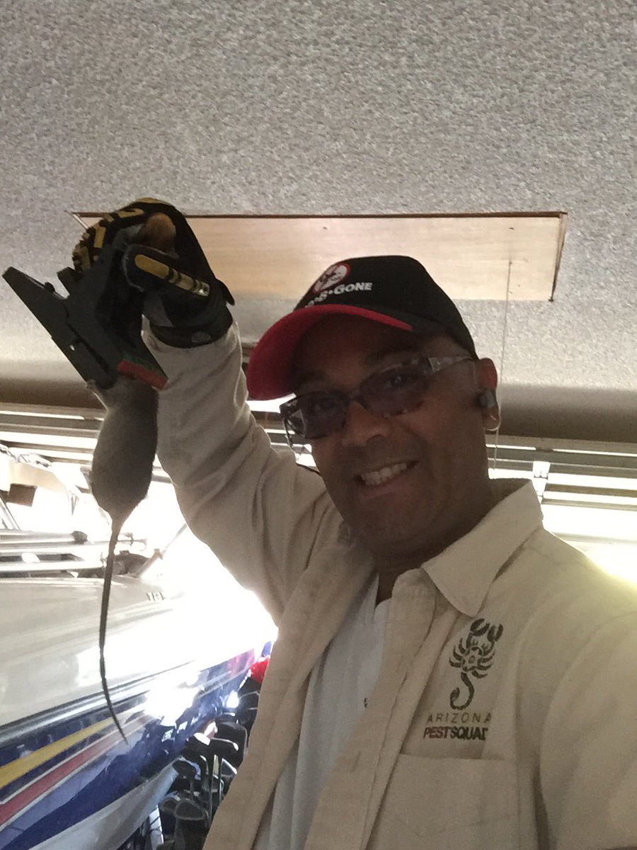 Camp me! Arizona Pest Squad for Rodent control! pctonline.com/article/arizon…
