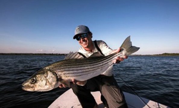Making the Most of the Cinder-Worm #Hatch for Big #Stripers
bit.ly/20Qraad
via <a href="/OrvisFlyFishing/">Orvis Fly Fishing</a>
#flyfishing