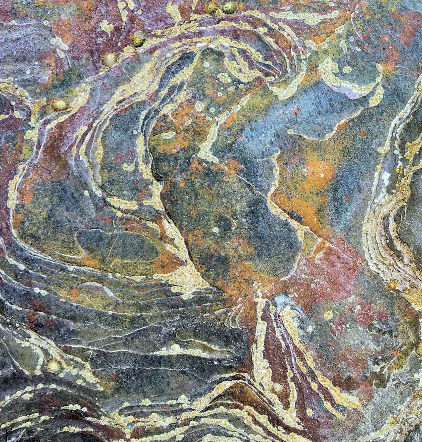 Northumbrianman's tweet photo. The industrial roots of Lindisfarne in detail; iron rich siltstones at Nessend #limetrail #allfiredup #Peregrini https://t.co/Uc82myLkYT