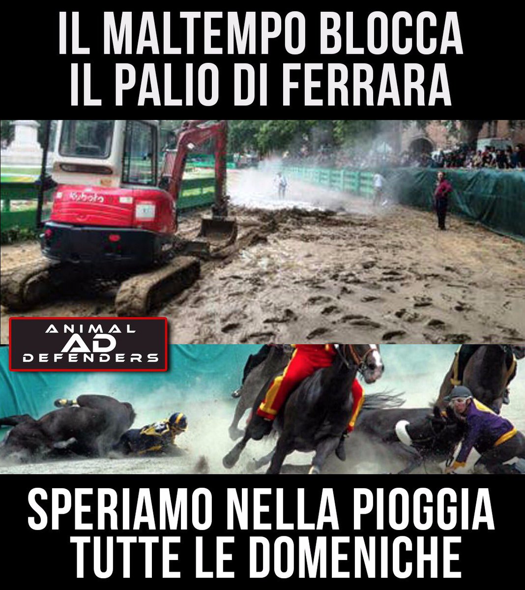 AD_ADefenders's tweet photo. #animaldefenders #nocorsapalio #nocorsapalioferrara #dirittianimali https://t.co/i1Yu1n9cHz