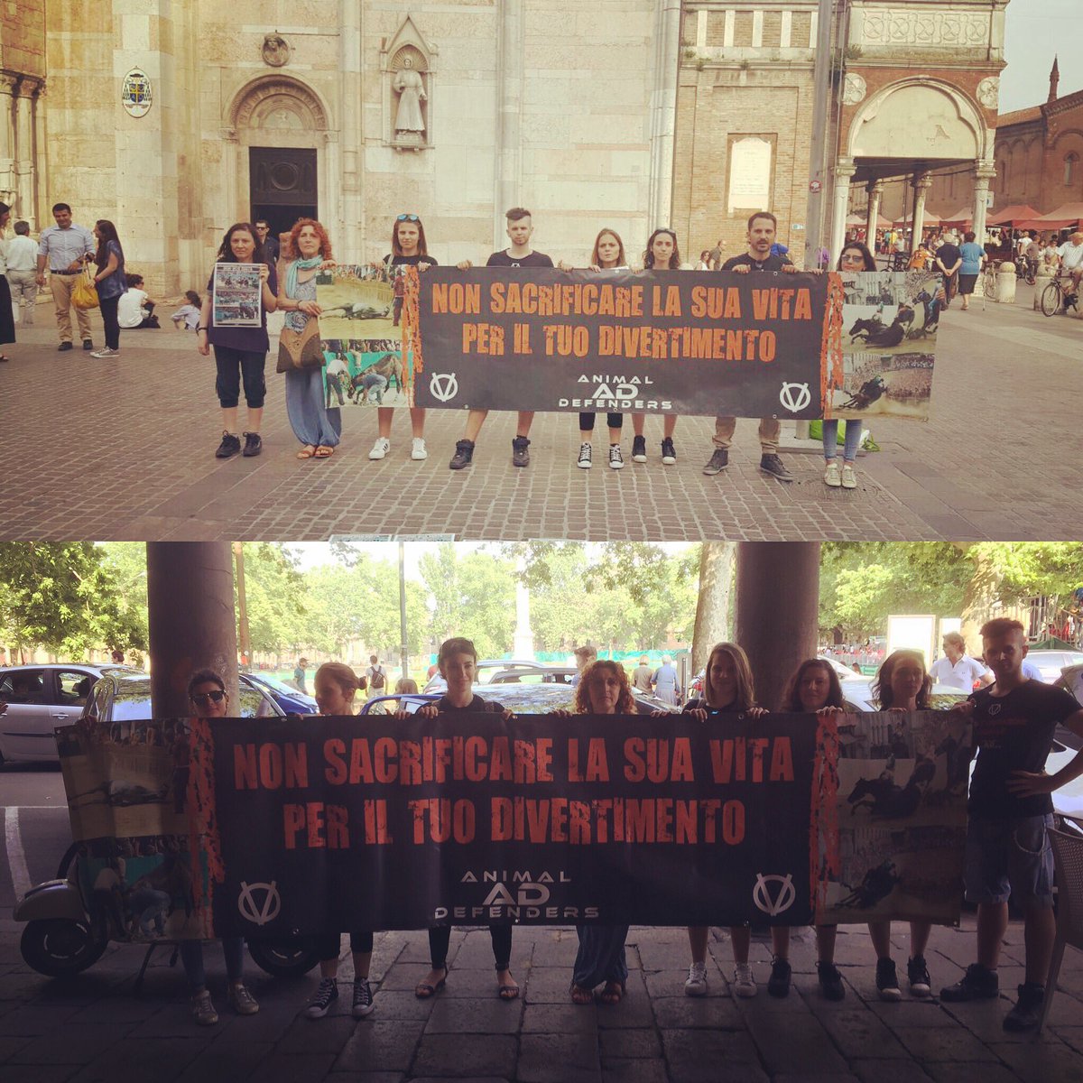 AD_ADefenders's tweet photo. #animaldefenders #nocorsapalio #nocorsapalioferrara #dirittianimali  https://t.co/KjHoIja8OV https://t.co/F2KsW7juKW