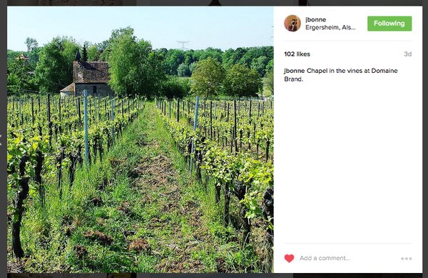 MT <a href="/drinkAlsace/">#AlsaceRocks</a> It's easy being green! The certified organic vineyards at Domaine Brand #Alsace <a href="/jbonne/">Jon Bonné</a>