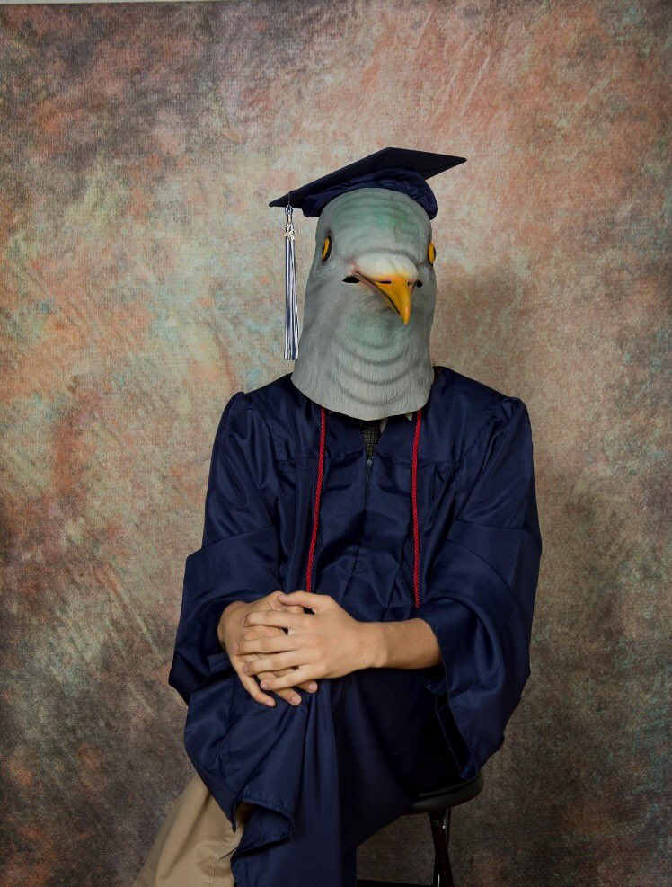 cult leader sweetie pie tweet media