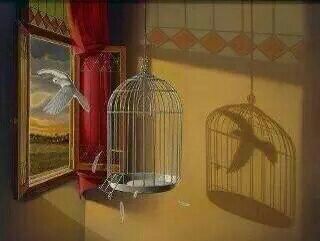 دائماً تقصى الحقيقة في جميع امورك فليس كل ماتراه هو الحقيقة ..  فحتى الظل في بعض الاحيان لايعكس لنا الحقيقة