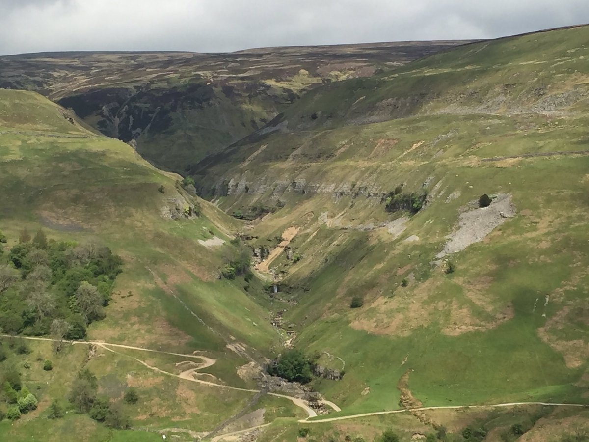 Janice Bryan tweet media