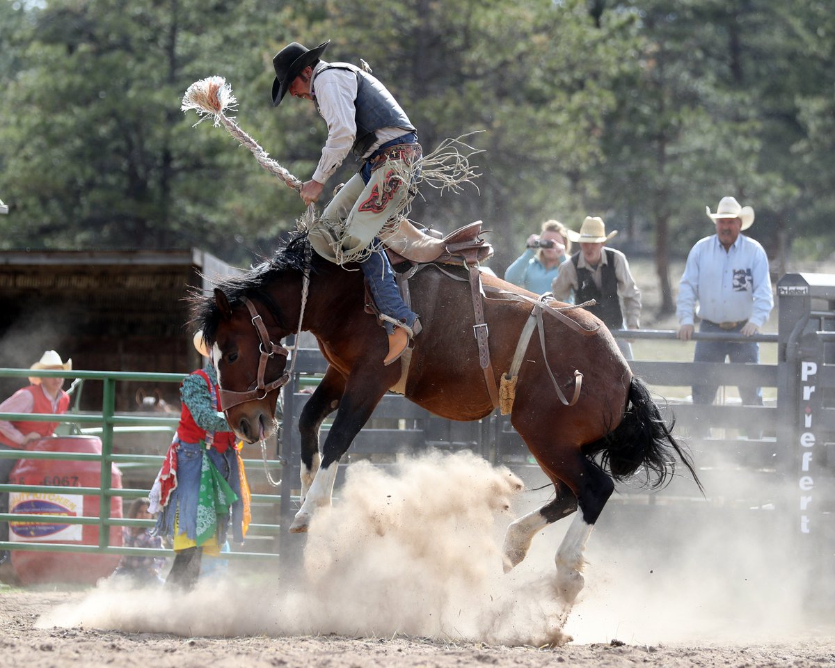 Are you up for a rodeo? Camera Experience training Colorado Springs, Colorado 5/25/2016