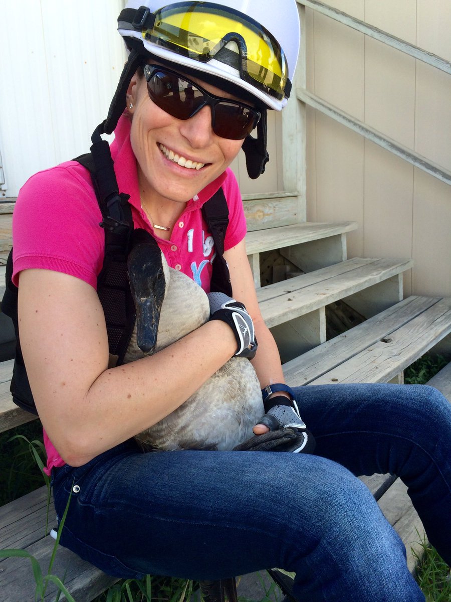 EJWilson81's tweet photo. Meet Susie Stringhalt-freed from twine tangled around her feet! Thx @BowenSlb for your surgical skills! #happygoose https://t.co/siSbm4bSNy