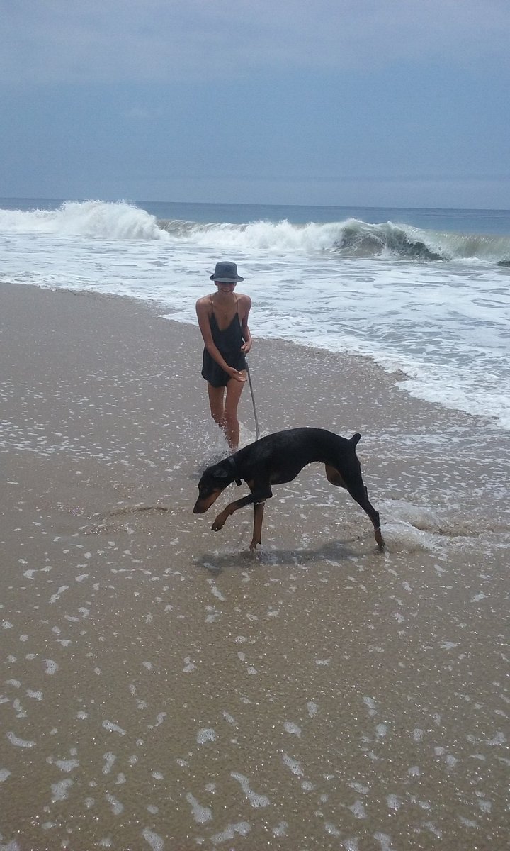 TheRealCassidey's tweet photo. Perfect day for the beach. https://t.co/NjqgfC9Ks8