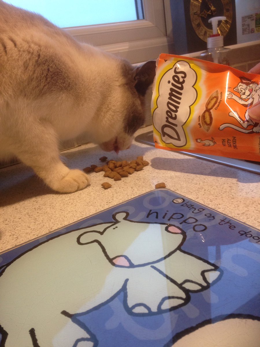 @davethedishwash Casper will share if Lisa wants!? #tastychicken