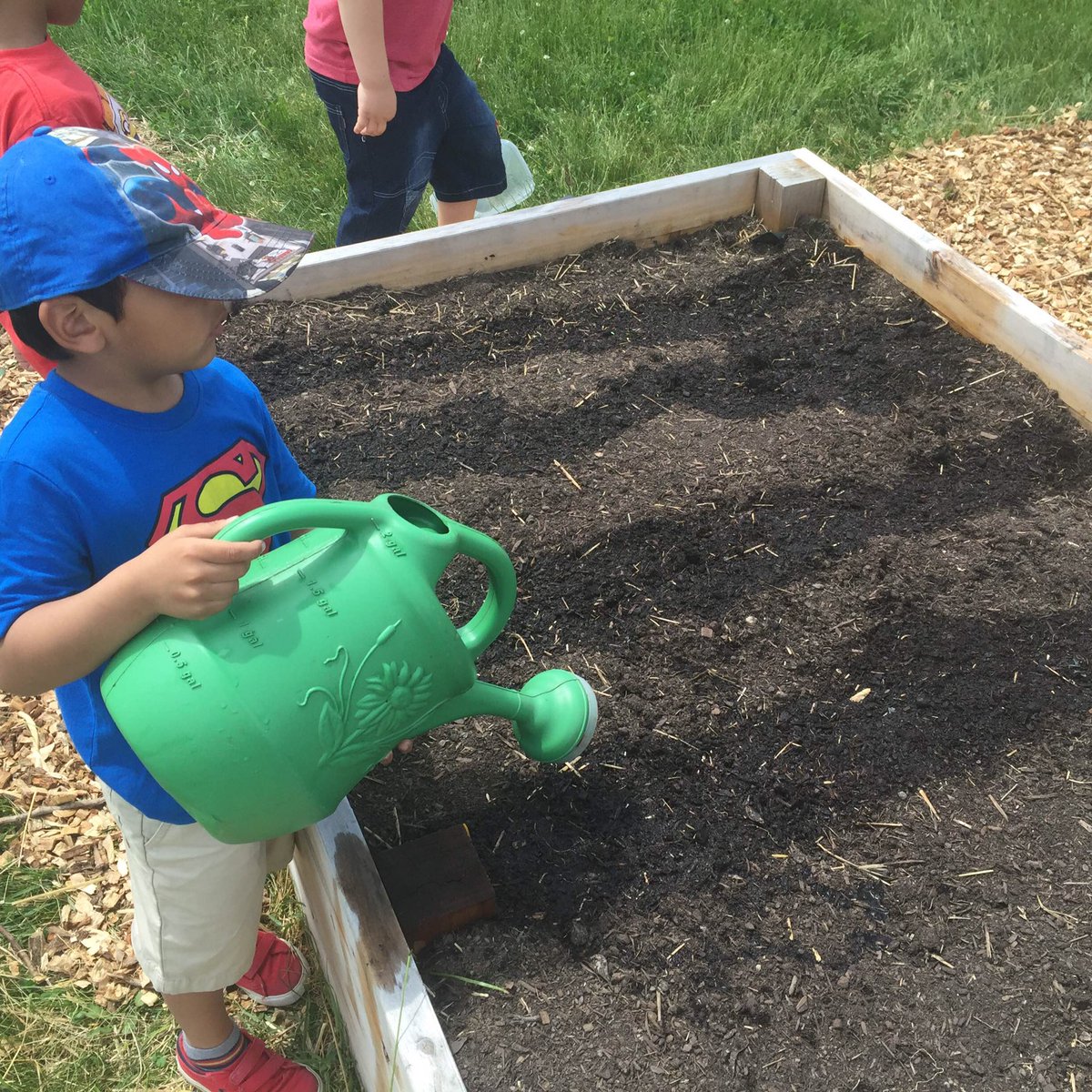 Forest Glen Garden -  Grade 3 and Kindergarten have been busy planting beans, carrots and cucumbers.