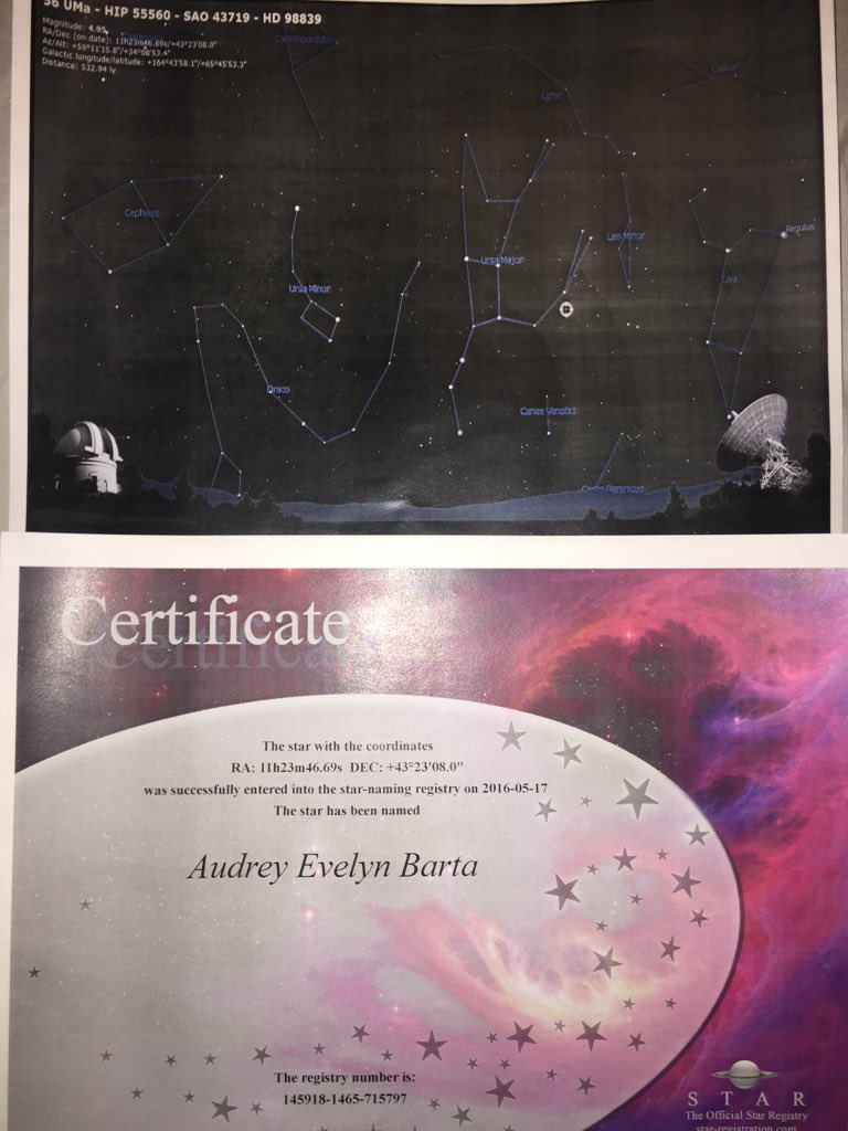 ahsprom2016's tweet photo. A perfect promposal for a perfect human being #OutOfThisWorld 🌟💙 https://t.co/fWORgg7Wv3
