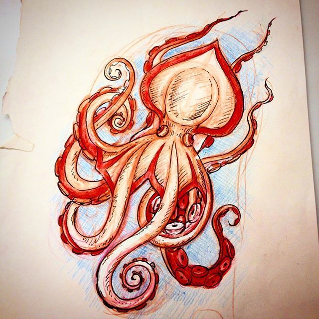OctopusGifts's tweet photo. #tattoodrawing#americantraditional#neotraditionaltattoo#drawings#sketch#octopus#octopusdra… https://t.co/9UwRr8r2gc https://t.co/wqqUFgvRbe