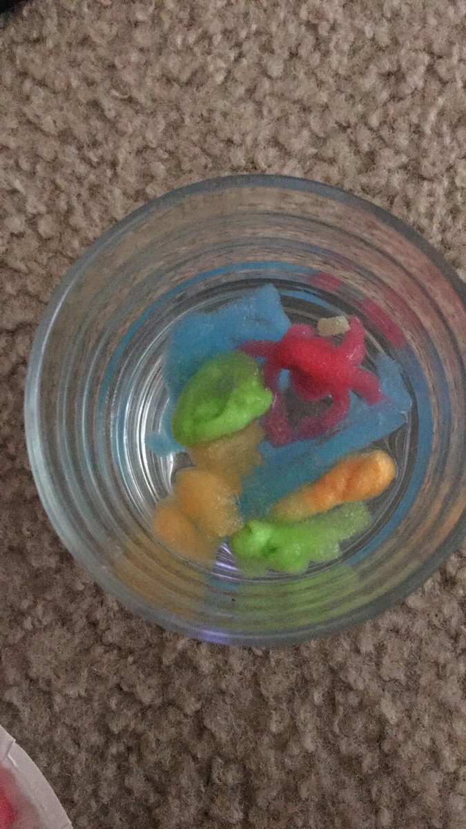 Greg_N_Susan's tweet photo. The babies are coming #believer #experimenttime https://t.co/TIHUunNN6A