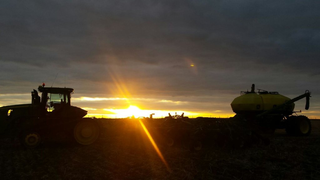 Forgot I even had this... My new fave from #plant16, photo cred to <a href="/catgualtieri/">Catherine Gualtieri</a>