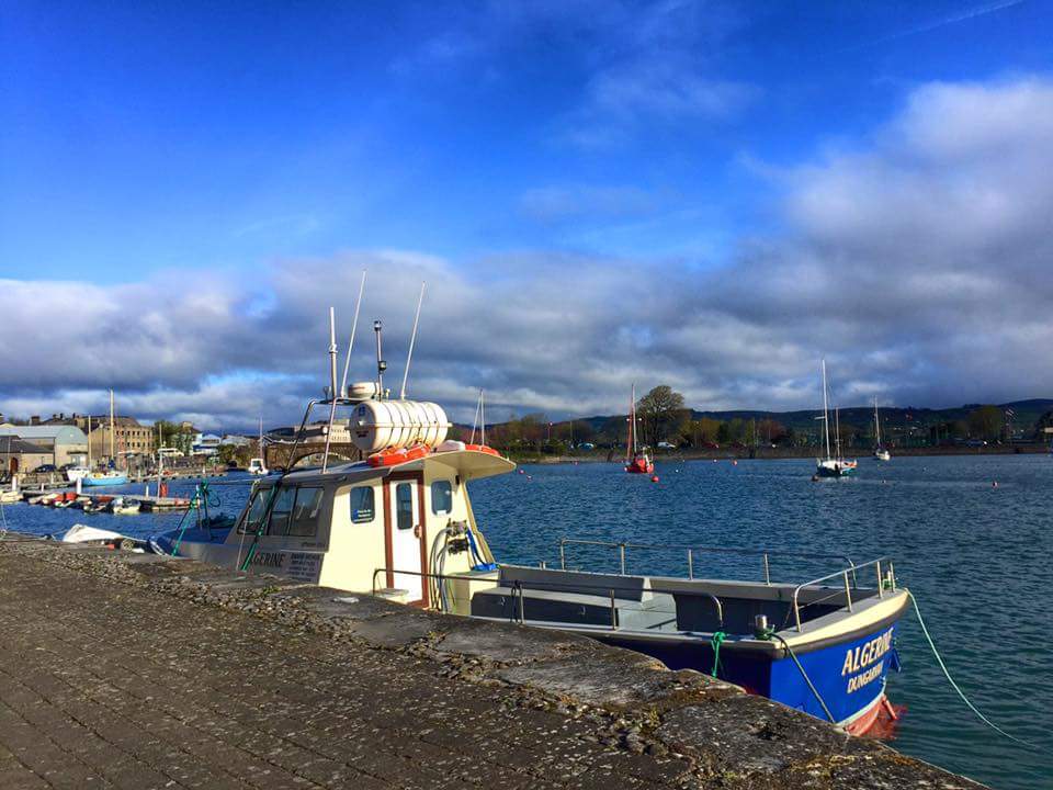 Beautiful summers day @dungarvantour14  #dungarvanoffshorecharters #visitdungarvan #visitwaterford #sunnysoutheast