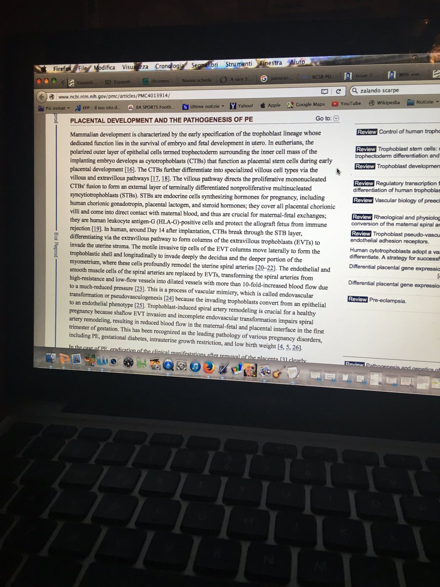 emydoeslife's tweet photo. Yes,this is not the topic my project is on..whoops. #mednerd https://t.co/Y2TqHXO62c