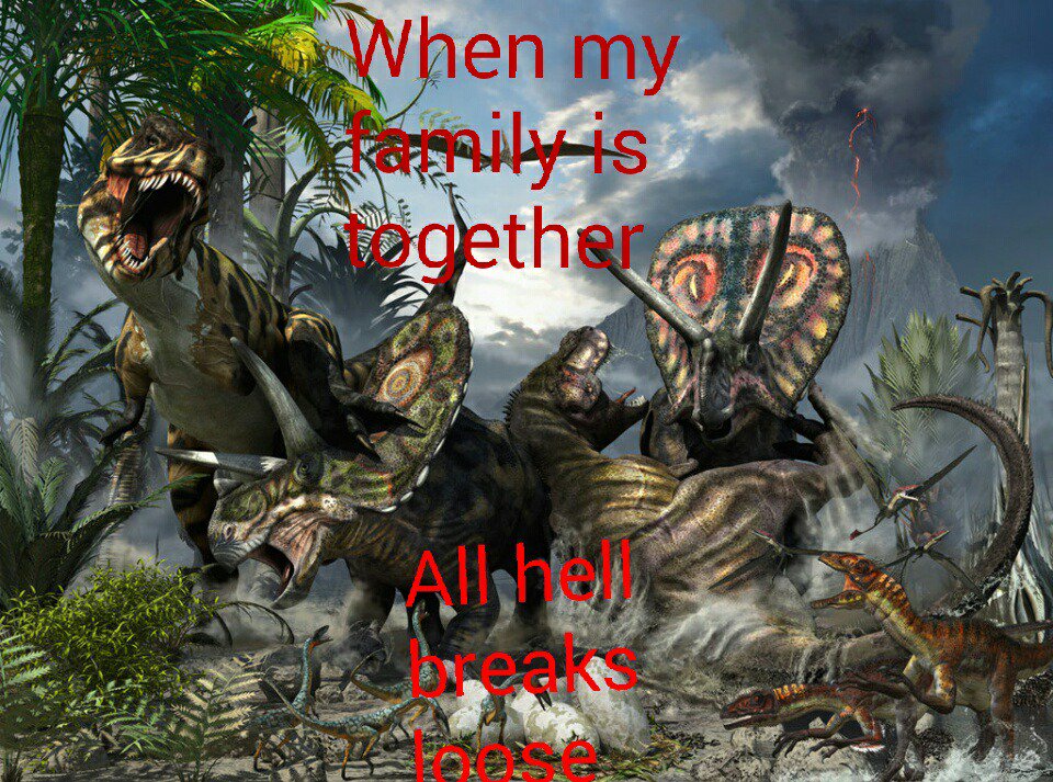 KatDirenzo's tweet photo. So I have my family reunion in month and this is what it will be like https://t.co/38amWy6lqW