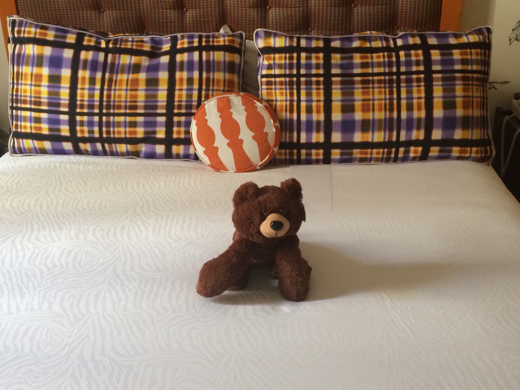 #kimpton gave me a  little buddy for the night.  1000% chance of us staying up too late.