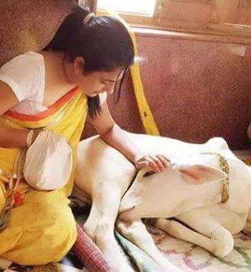 Nothing Grows With Fear Nor With Conflict! All Wishes &amp;Possibilities Come From Spiritual Progress!~Ratan Chakraborty