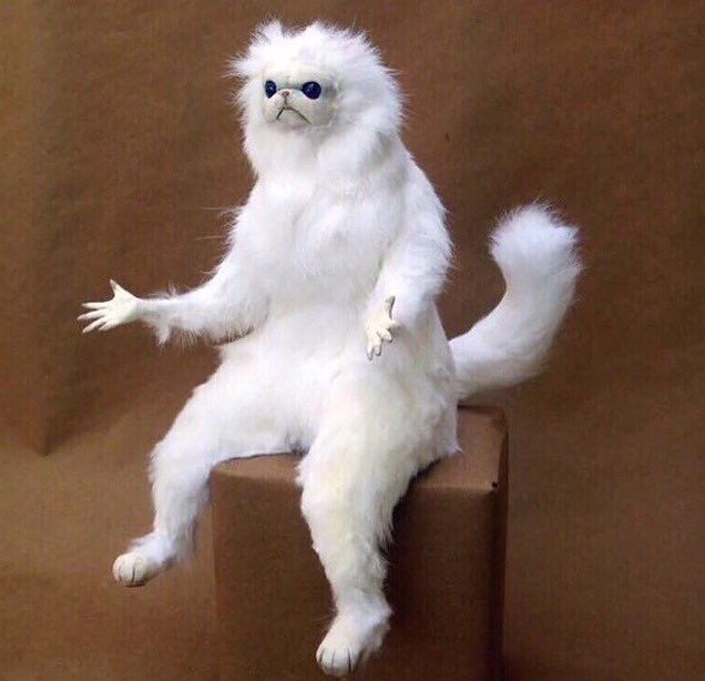 ua_2019's tweet photo. If you're feeling like this because of finals, take a study break and follow the new class Instagram @ uasophs2019 https://t.co/bitnGwcDY2