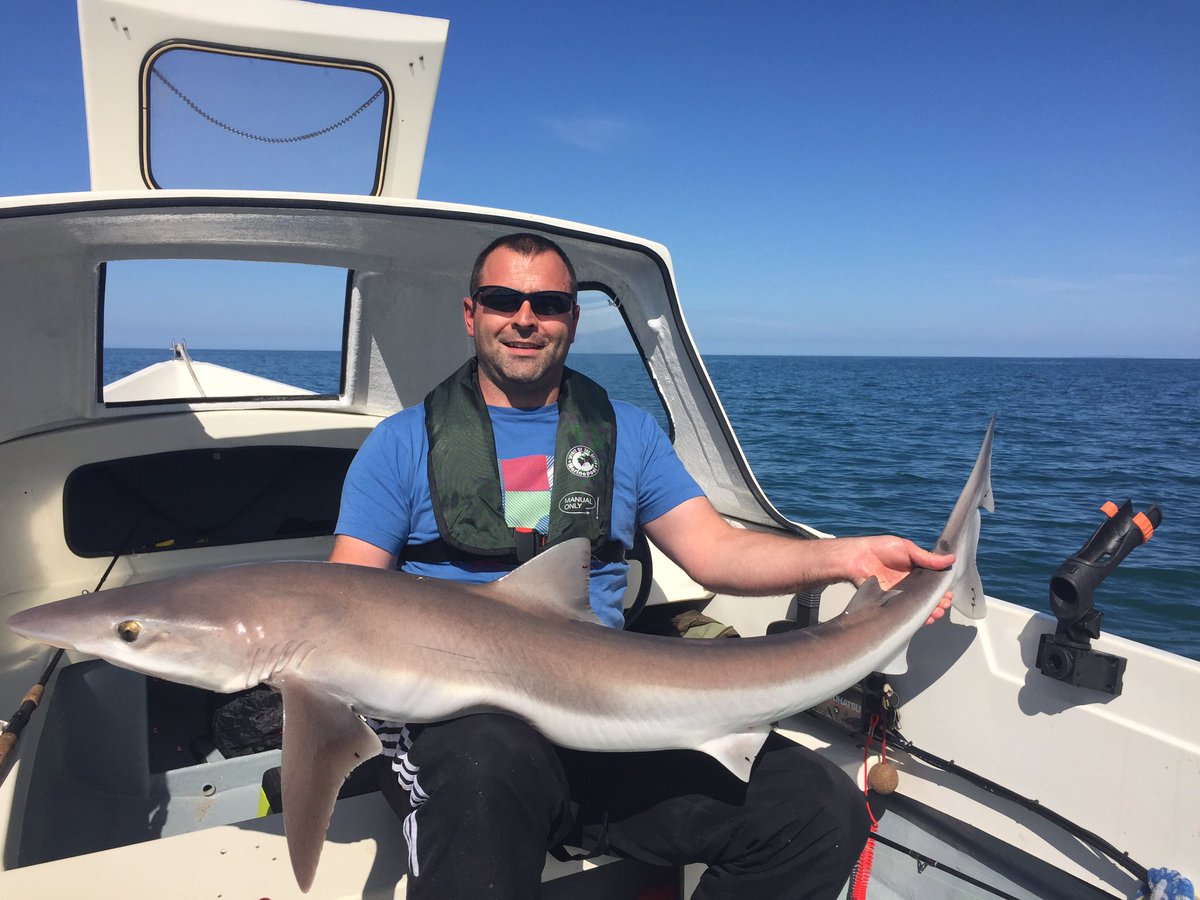 DomRoberts0's tweet photo. Another one caught last season #uptide #circlehooks #boatfishing #wales @CoxRawle https://t.co/AuqoyrvoQb