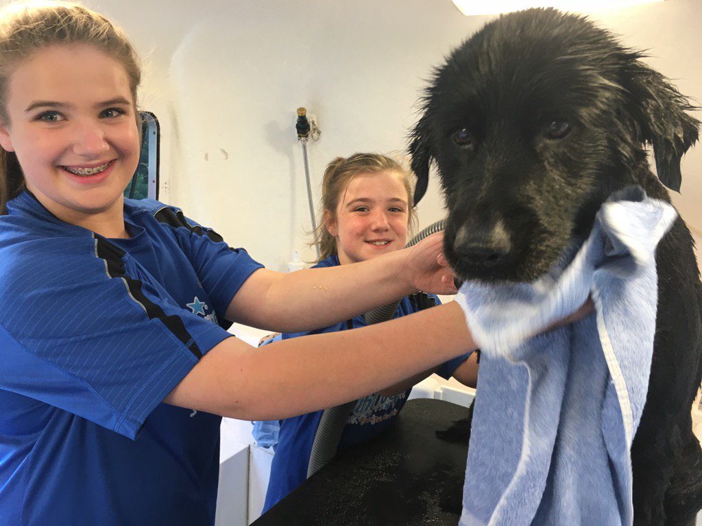 CameraGuyDave1's tweet photo. Rachel&Bella from #Bathe2Save tour give Shadow bath while visiting @GoodDaySac @CBSSacramento @kris10marshall https://t.co/iUe2BlNtyn