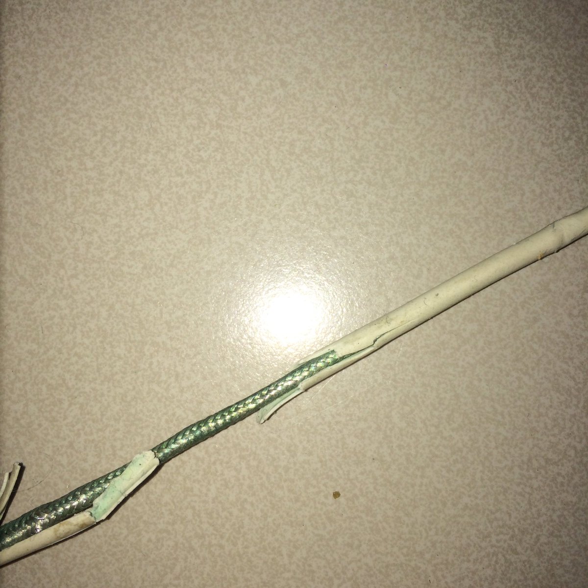 RayDayYT's tweet photo. Retweet if you got the same apple charger #awesome #thirdonethisyear #apple https://t.co/utNHMIlcRK
