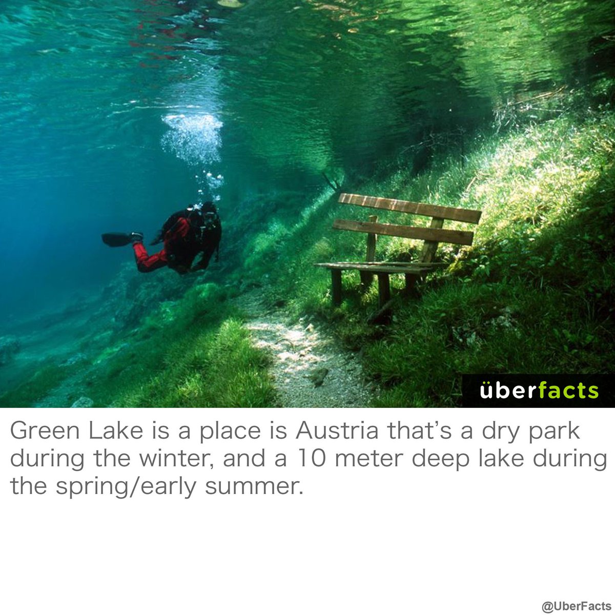 UberFacts's tweet photo. Incredible. https://t.co/gf4dTmlXFL
