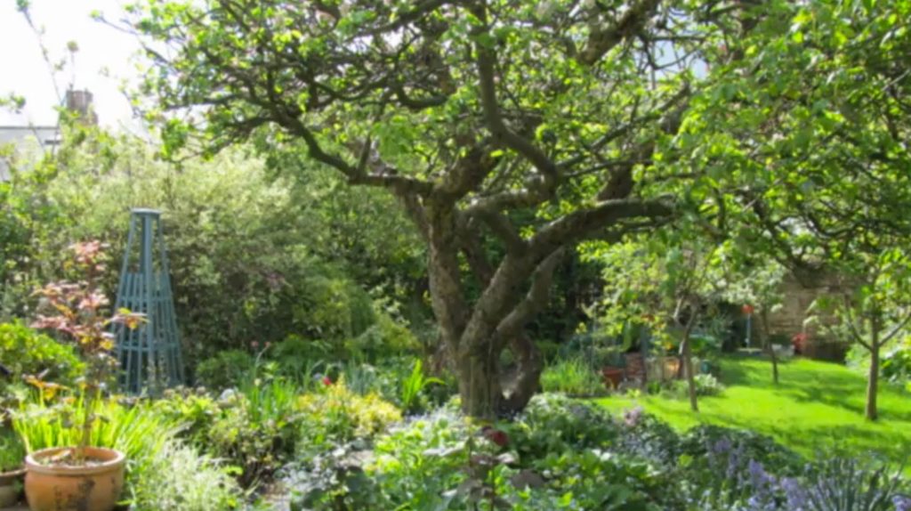 ourgardenclub's tweet photo. Planning a Fruit Garden - How to Make a Low Maintenance ... - #GardenHowTo - https://t.co/Ic6ryMOCj5 - Ou ... https://t.co/dudKMOCl28