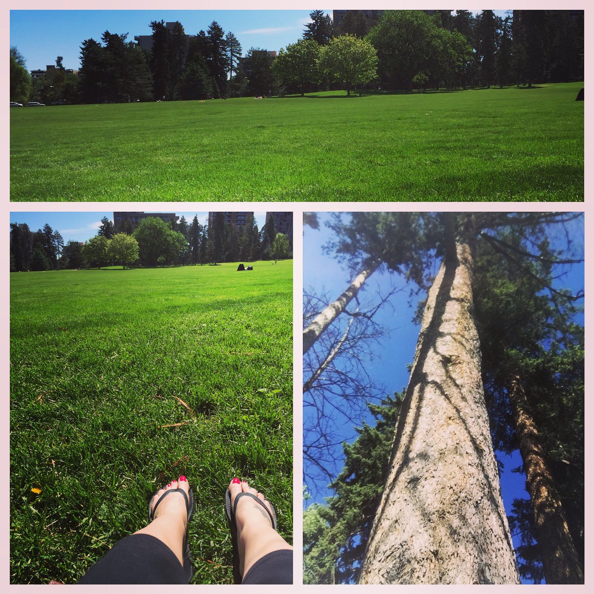 Ross1989Sarah's tweet photo. Memorial Day weekend fun in the sun #cheesmanpark https://t.co/GODOkS6uQd