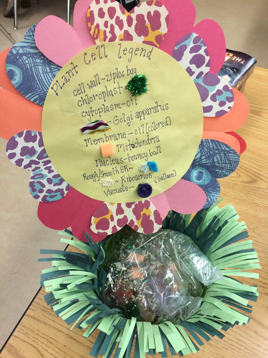 ShauneBeatty's tweet image. Caught up w Gr 8 Ss as they shared their representations of plant &amp;amp; animal cells. #PerformanceTasks #PrideInThePaw