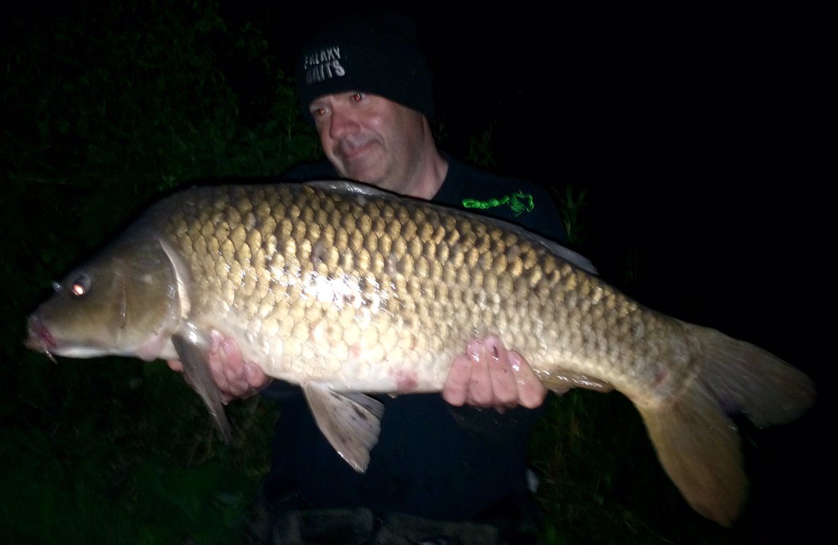 PaulWoodBC's tweet photo. No.8 of session 14lb 2oz falling to @galaxybaits almond wafter &amp; crushed bloodworm boilie in a @Castaway_PVA mesh https://t.co/gcEOS7SrJ7