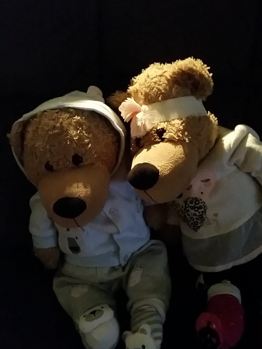 grizzleebear3's tweet photo. Our new out fits from best and less.. we are spoilt bears https://t.co/fLDeFRDkqE