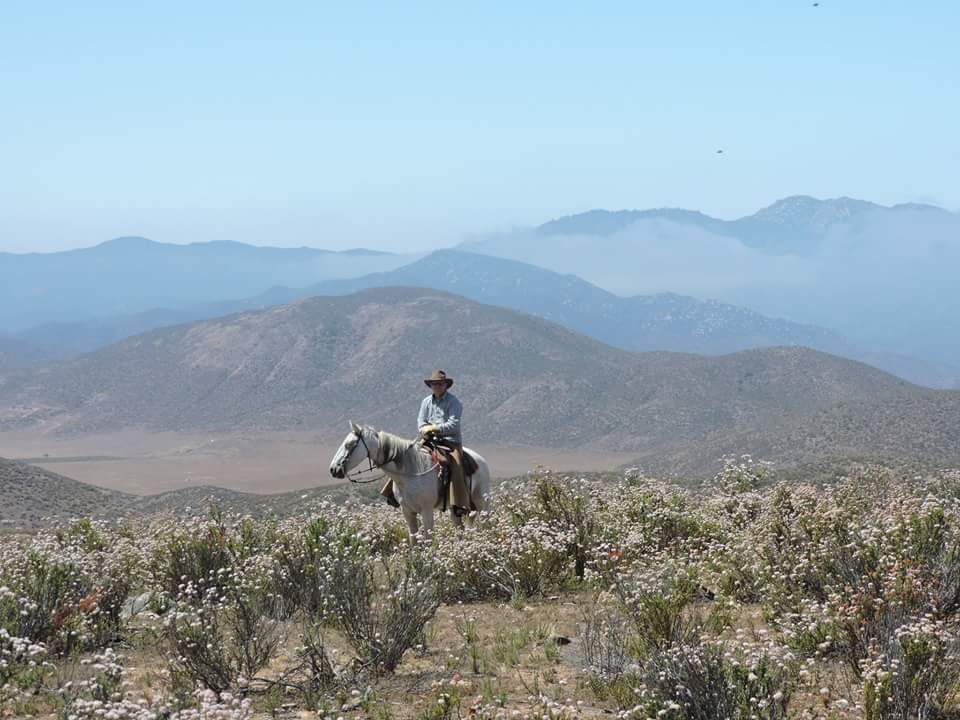 LaBellota2's tweet photo. Wide open spaces and loving every minute of it. https://t.co/y2jXj2QStR