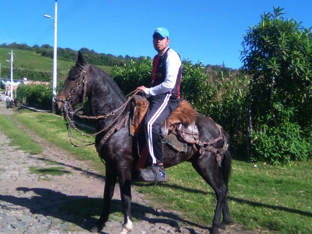 ToapantaWillian's tweet photo. Esto es vida y nadie me la quita 🐂😆 https://t.co/eqnub6kMdo