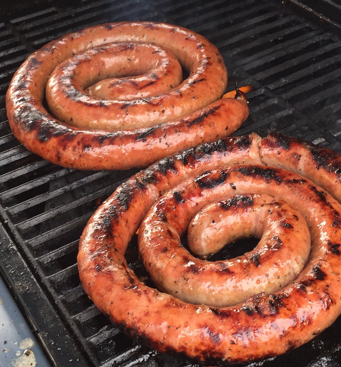 Alicia Sudol tweet media