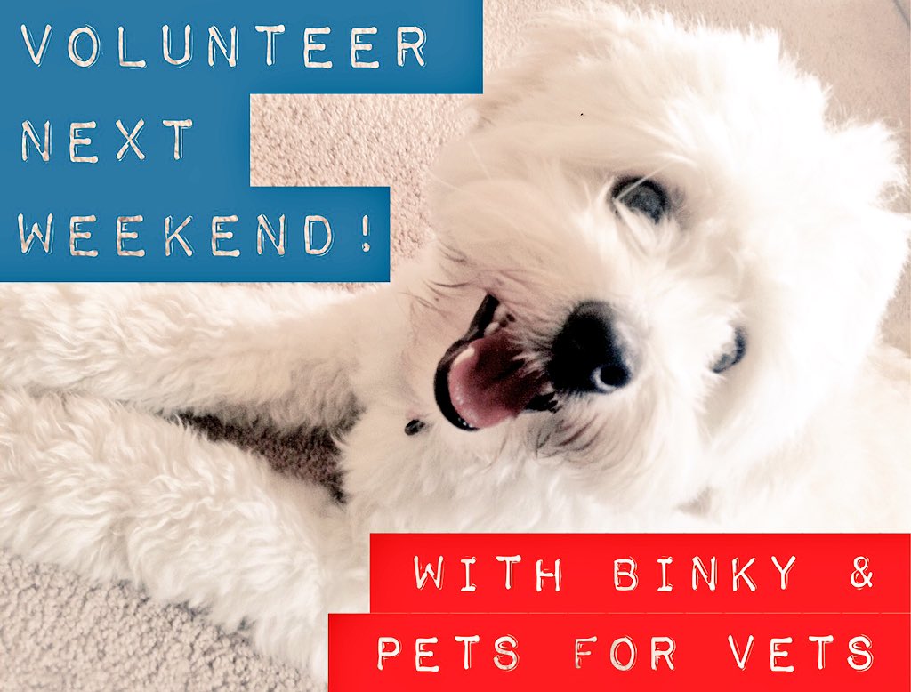 PetsforVetsNYCLI tweet media