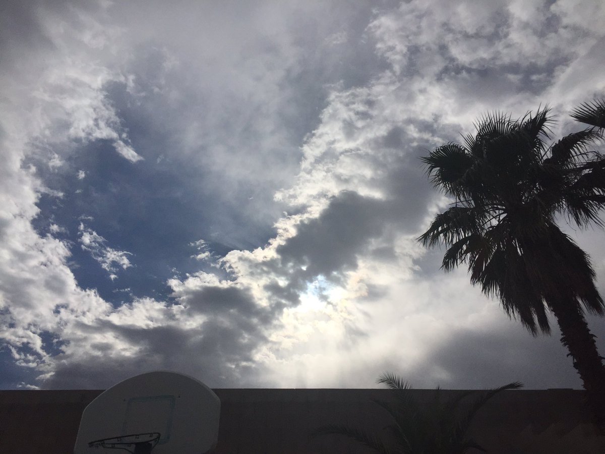 Netjeretkhau's tweet photo. #EveryTimeITry to leave my pool, it's colder than inside my pool https://t.co/0ViPcgeI1G