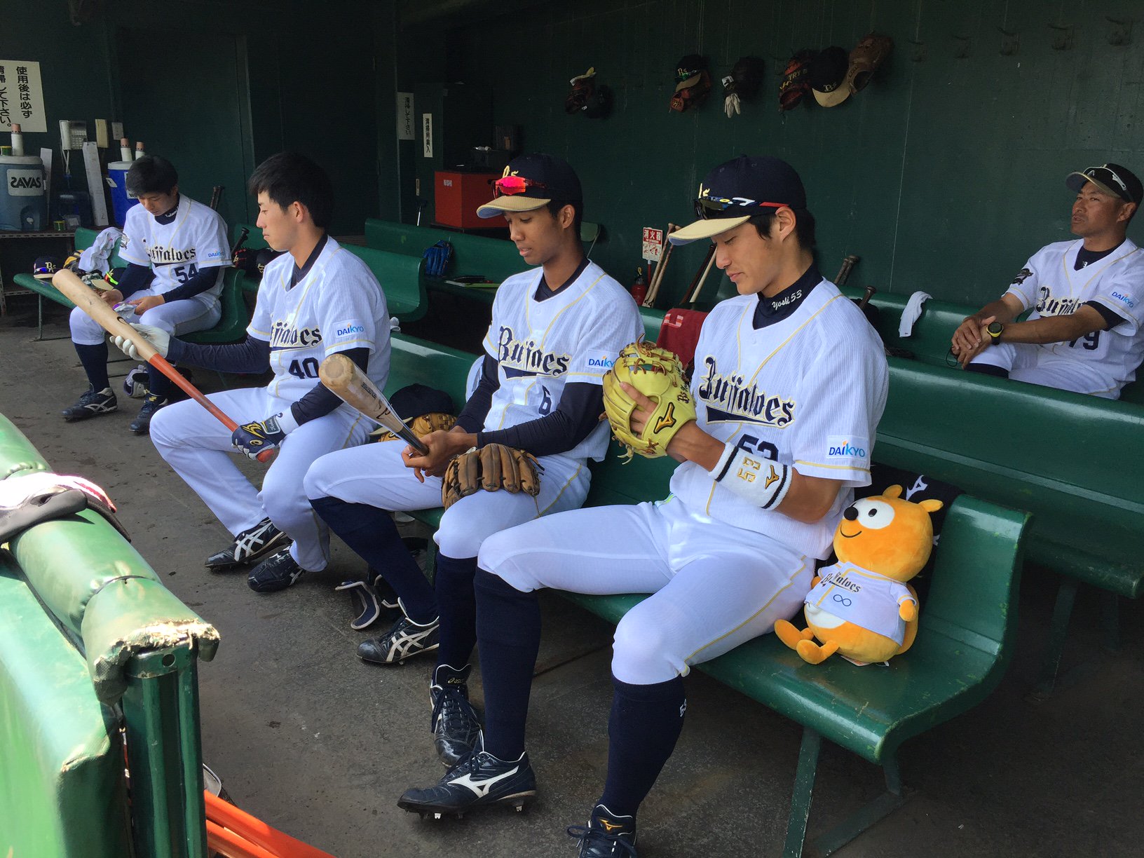 オリックス バファローズ バファローズポンタ ファームでもベンチ入り Bs16 プロ野球 Npb Orix バファローズポンタ T Co Hrbbvv4ukw Twitter