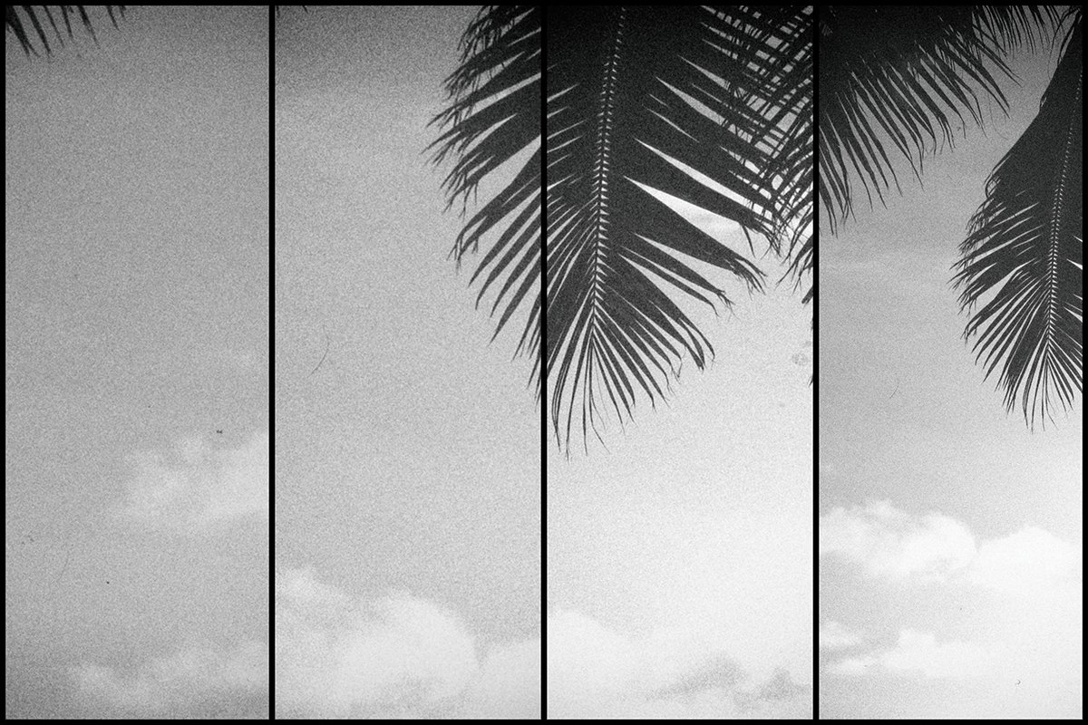 TheLoopOz's tweet image. New work from Sydney-based Photographer @_almostreal now in The Loop Shop: goo.gl/rmSq6S  #ShopifyPicks