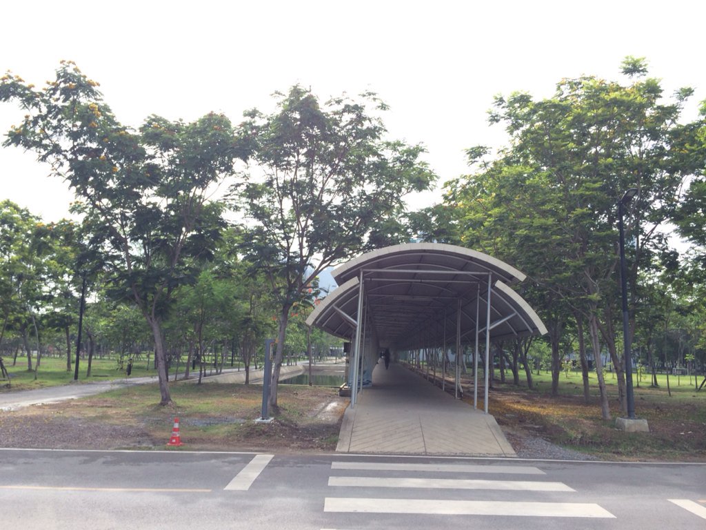 moonflowerxxxxx's tweet image. hello world #programmingbootcamp