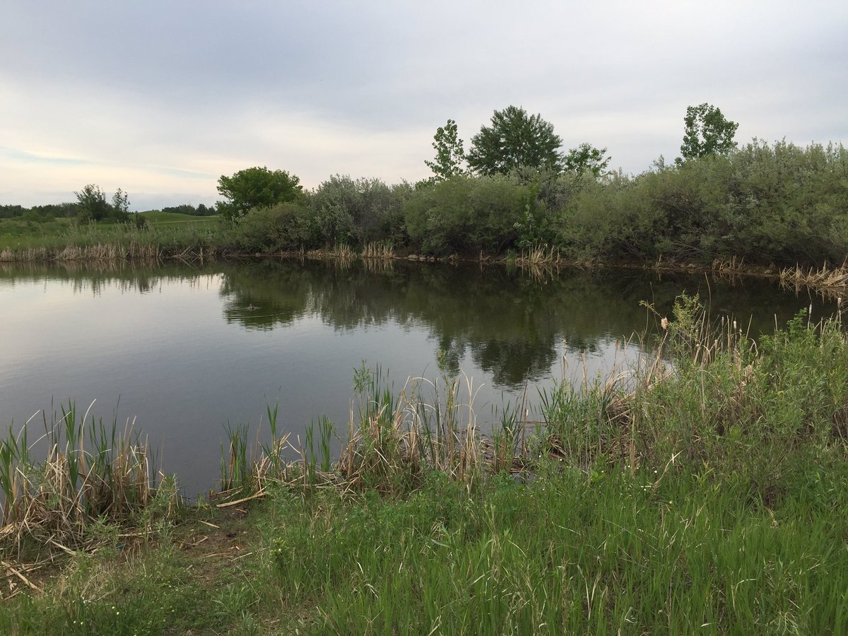 Denise13F's tweet photo. #DoubleWalk 2day 1.3M alone & 3.2M w\ @Tim13S #HeForSheRunners #earthathon #running relay. Found some new trails. πΆπΆ https://t.co/kyOdaXi7qX