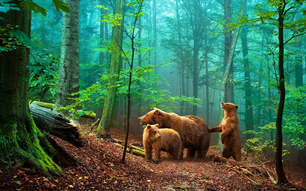🌞😘🌞@rvh111xx 🌞😘🌞
🍀🌹ДОБРАУТРА САША🍀
Солнечной погоды 
Хорошего настроения
Душевных встреч
Преданных друзей
💛💜💚💙💛💜💚💙💛💜