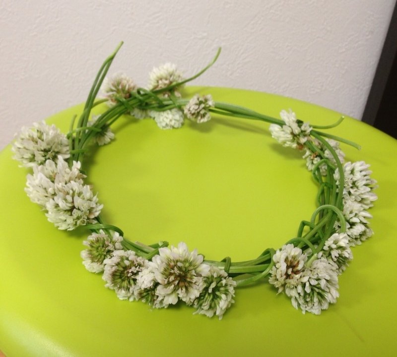 みやび ウィルが作ったシロツメクサの花冠 難あり と博士が5秒で作ったシロツメクサの花冠 みやび ウィルが作ったシロツメクサの花冠 難あり と博士が5秒で作ったシロツメクサの花冠
