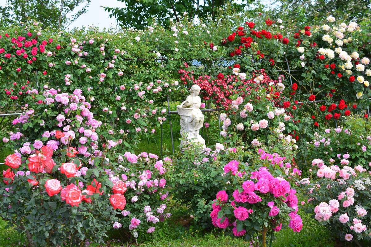 佐藤梨園 Twitter Search Twitter 佐藤梨園 Twitter Search Twitter