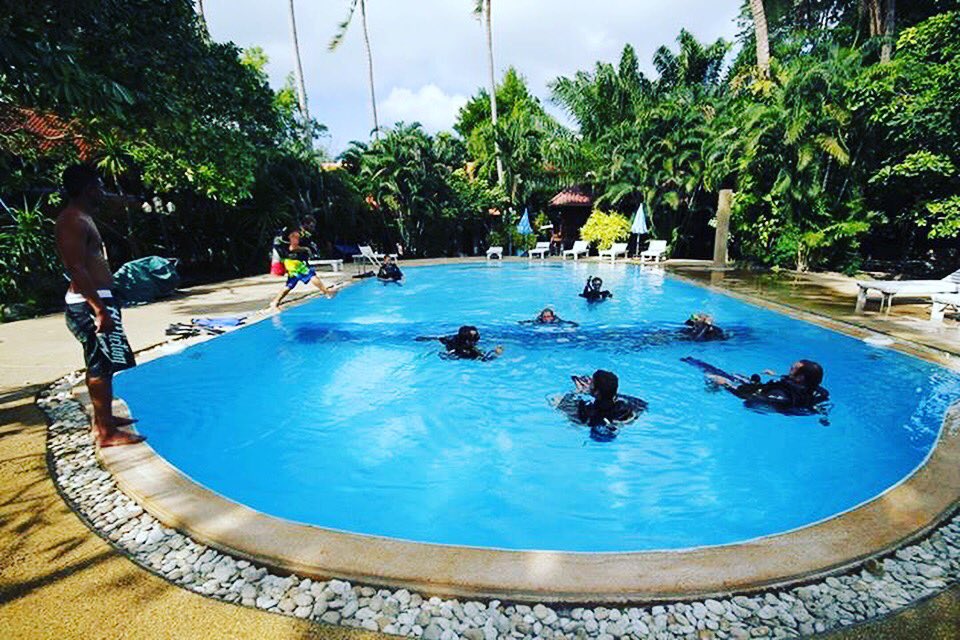 phoenixdivers1's tweet photo. Our dive pool is the perfect place to learn how to dive!  #ScubaDiving #KohTao #PADI #SSI https://t.co/13ijb3FfxR